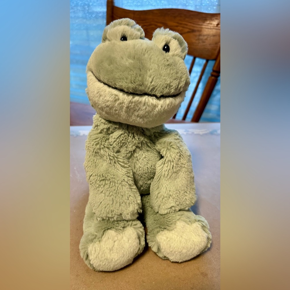 Frog Stuffed animal